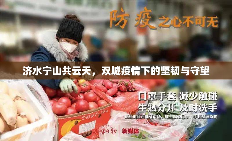 济水宁山共云天，双城疫情下的坚韧与守望