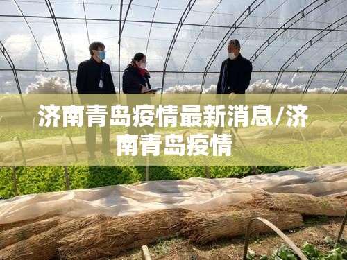 济南青岛疫情最新消息/济南青岛疫情