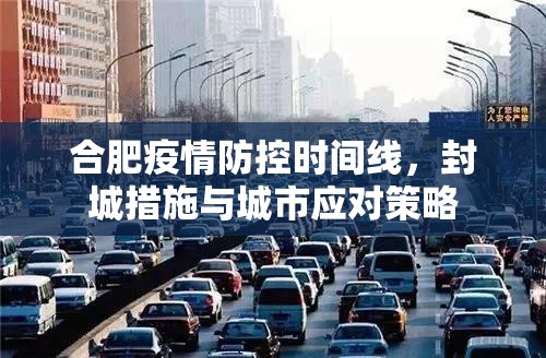 合肥疫情防控时间线，封城措施与城市应对策略