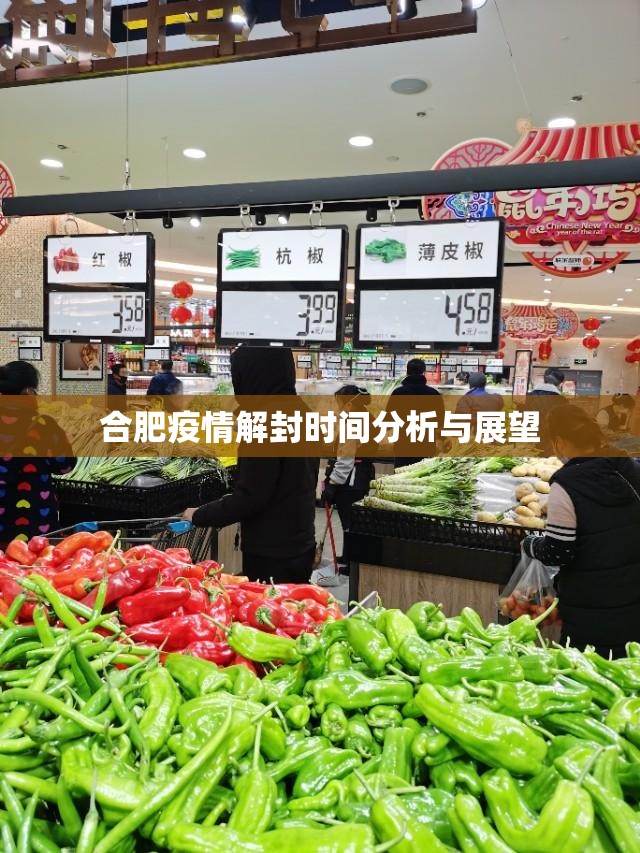 合肥疫情解封时间分析与展望