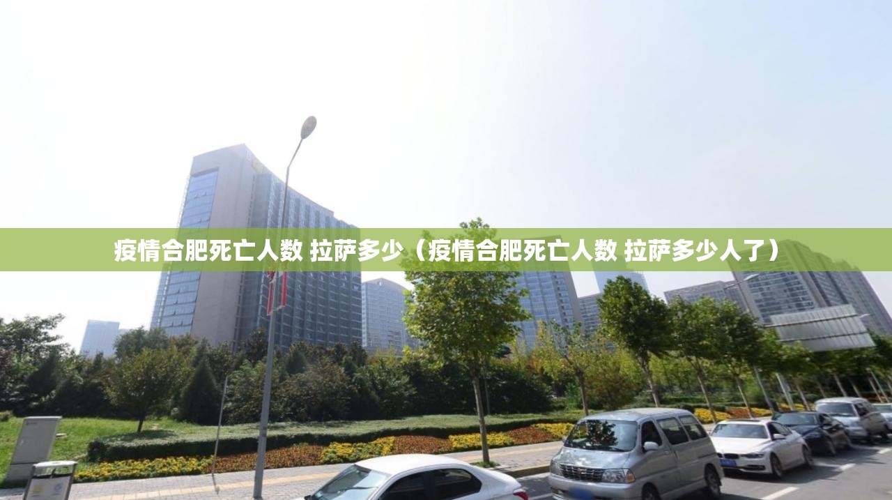 疫情合肥死亡人数 拉萨多少（疫情合肥死亡人数 拉萨多少人了）