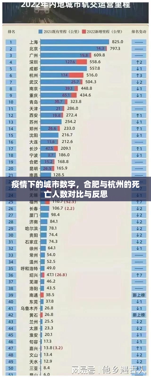 疫情下的城市数字，合肥与杭州的死亡人数对比与反思
