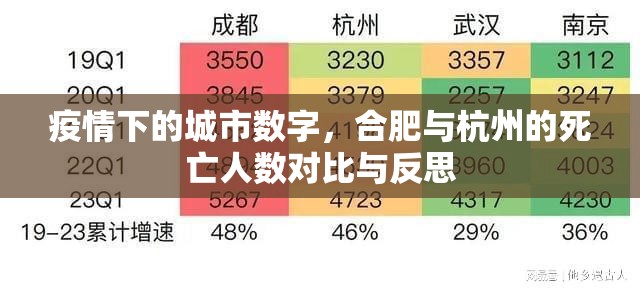 疫情下的城市数字，合肥与杭州的死亡人数对比与反思