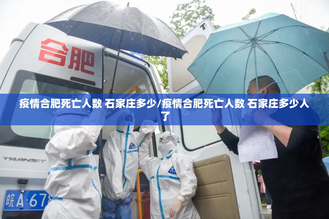 疫情合肥死亡人数 石家庄多少/疫情合肥死亡人数 石家庄多少人了