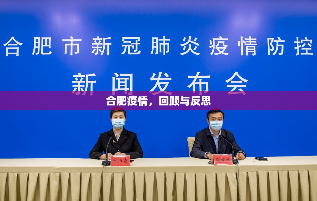 合肥疫情，回顾与反思