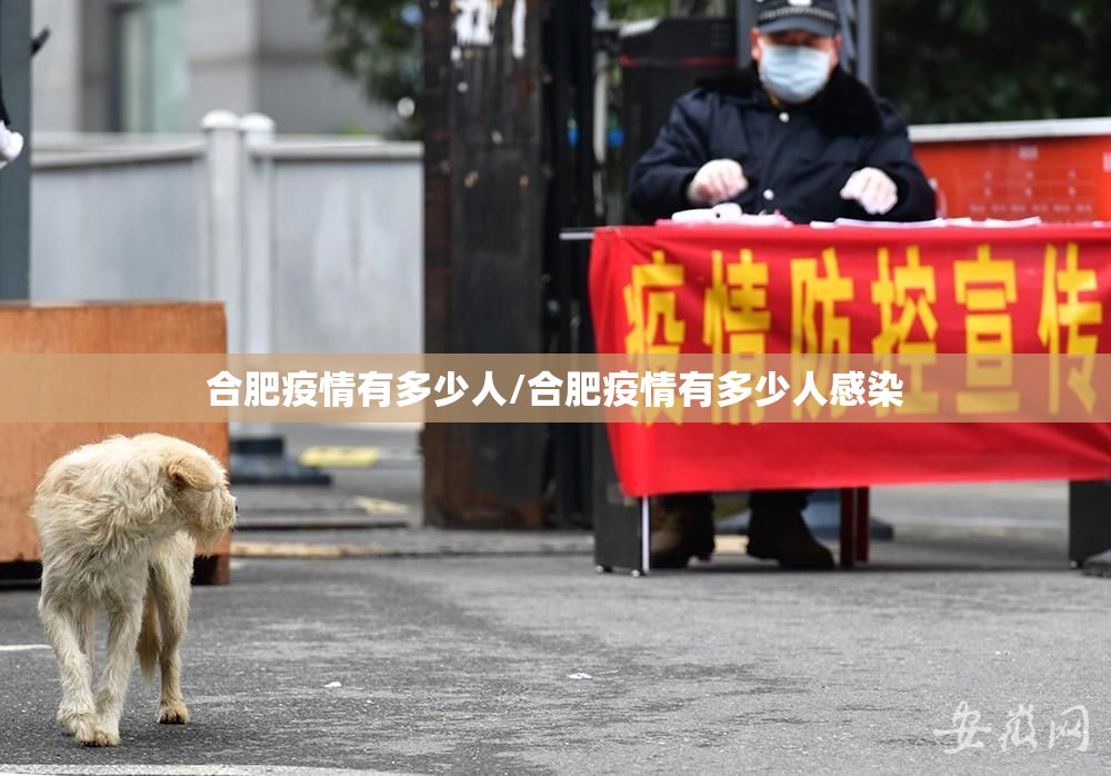 合肥疫情有多少人/合肥疫情有多少人感染