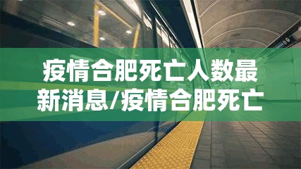 疫情合肥死亡人数最新消息/疫情合肥死亡人数最新消息新闻
