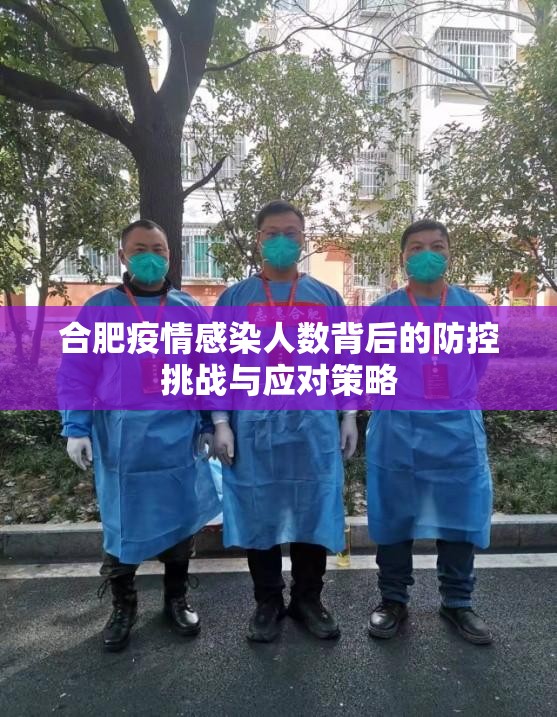 合肥疫情感染人数背后的防控挑战与应对策略