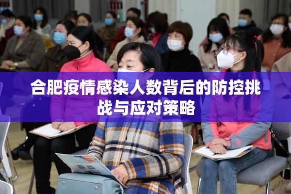 合肥疫情感染人数背后的防控挑战与应对策略
