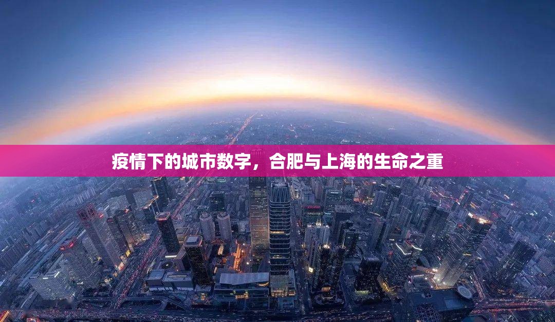 疫情下的城市数字，合肥与上海的生命之重