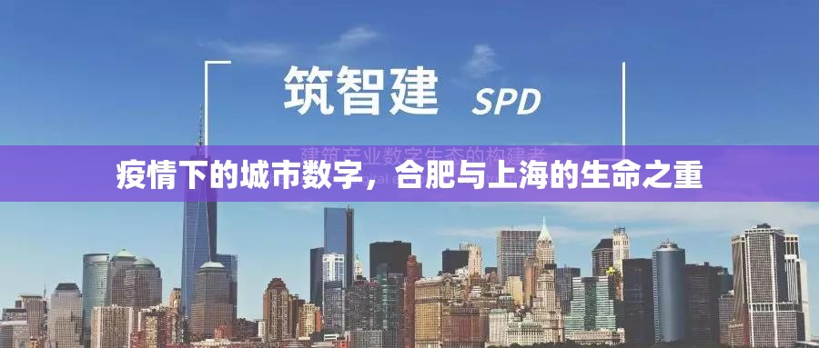 疫情下的城市数字，合肥与上海的生命之重