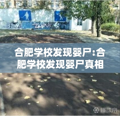 合肥学校发现婴尸:合肥学校发现婴尸真相