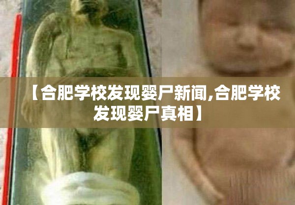 【合肥学校发现婴尸新闻,合肥学校发现婴尸真相】