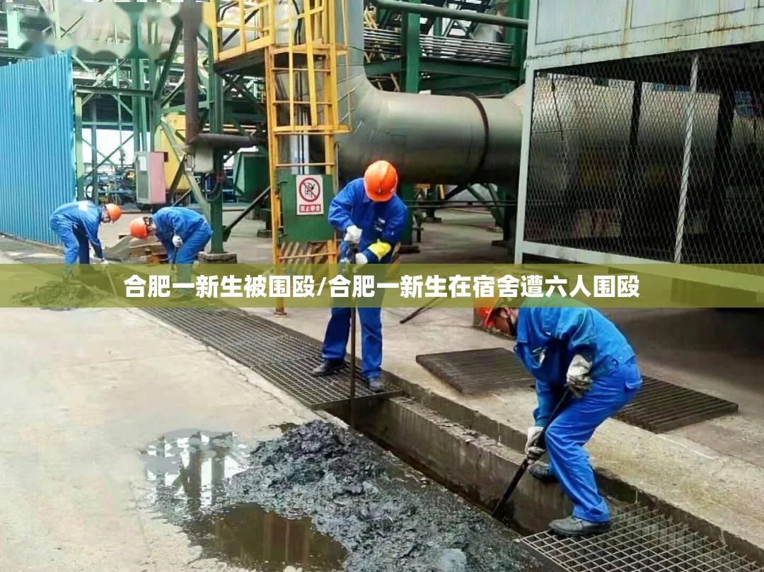 合肥一新生被围殴/合肥一新生在宿舍遭六人围殴