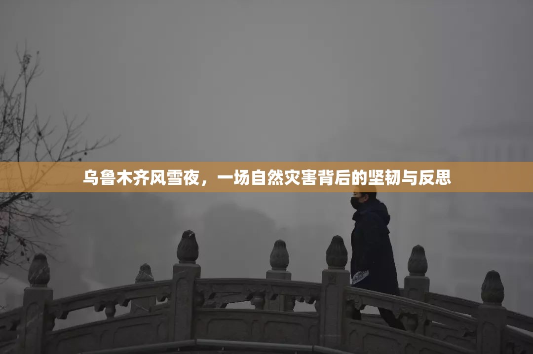 乌鲁木齐风雪夜，一场自然灾害背后的坚韧与反思