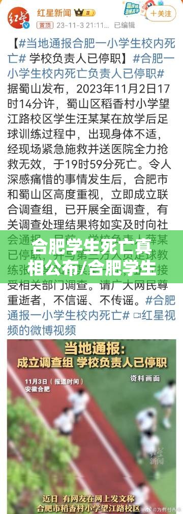 合肥学生死亡真相公布/合肥学生死亡