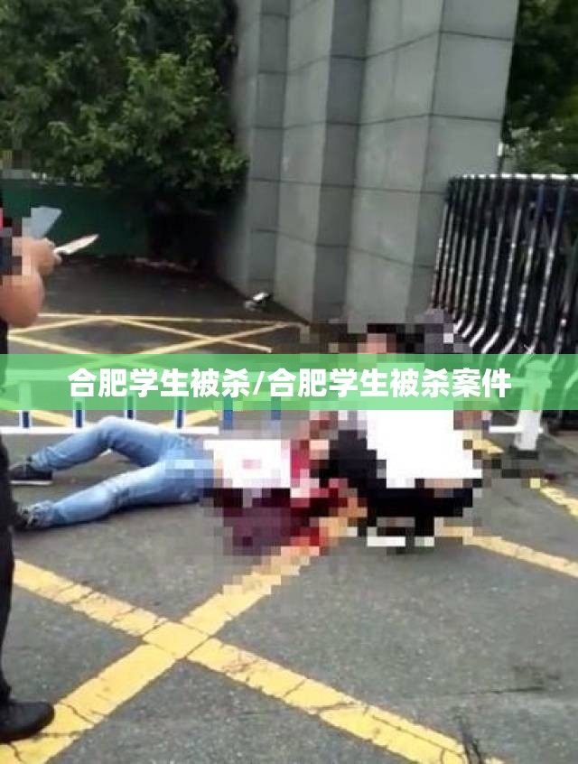合肥学生被杀/合肥学生被杀案件