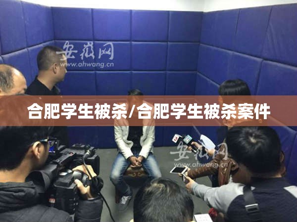 合肥学生被杀/合肥学生被杀案件