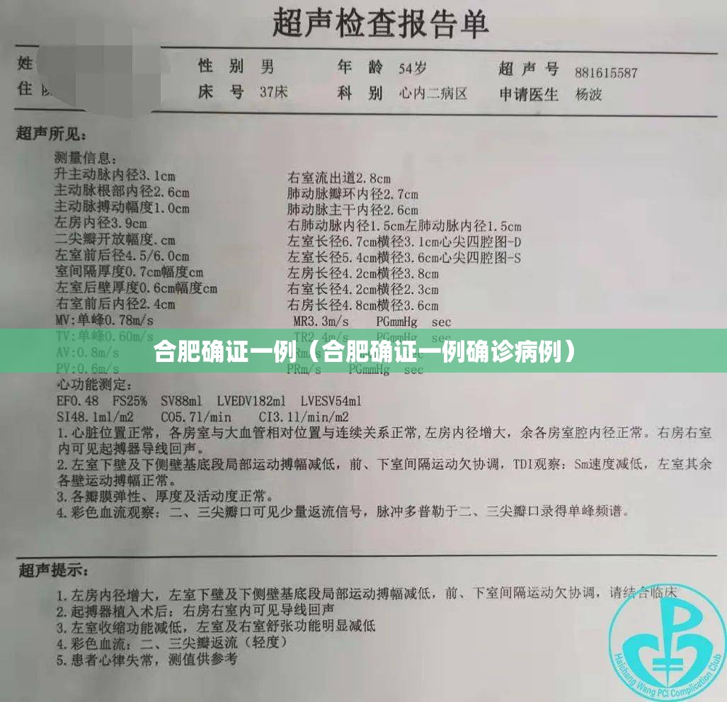 合肥确证一例（合肥确证一例确诊病例）
