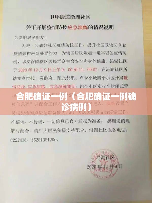 合肥确证一例（合肥确证一例确诊病例）