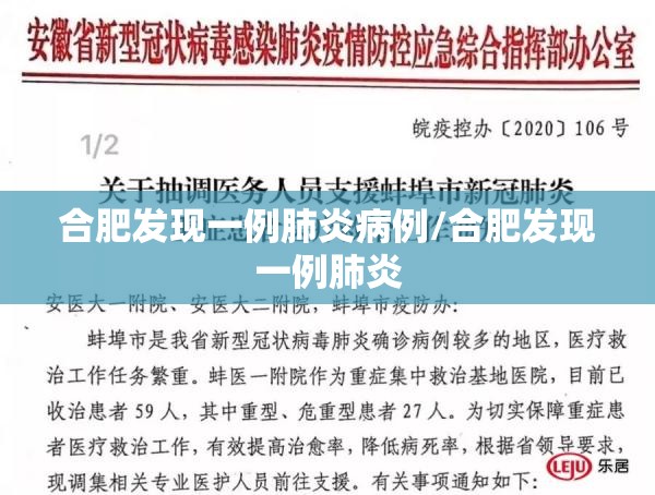 合肥发现一例肺炎病例/合肥发现一例肺炎