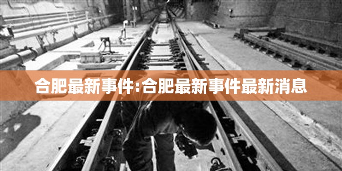 合肥最新事件:合肥最新事件最新消息
