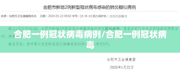 合肥一例冠状病毒病例/合肥一例冠状病毒