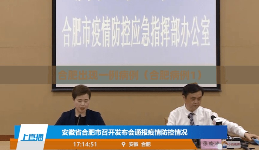 合肥出现一例病例（合肥病例1）
