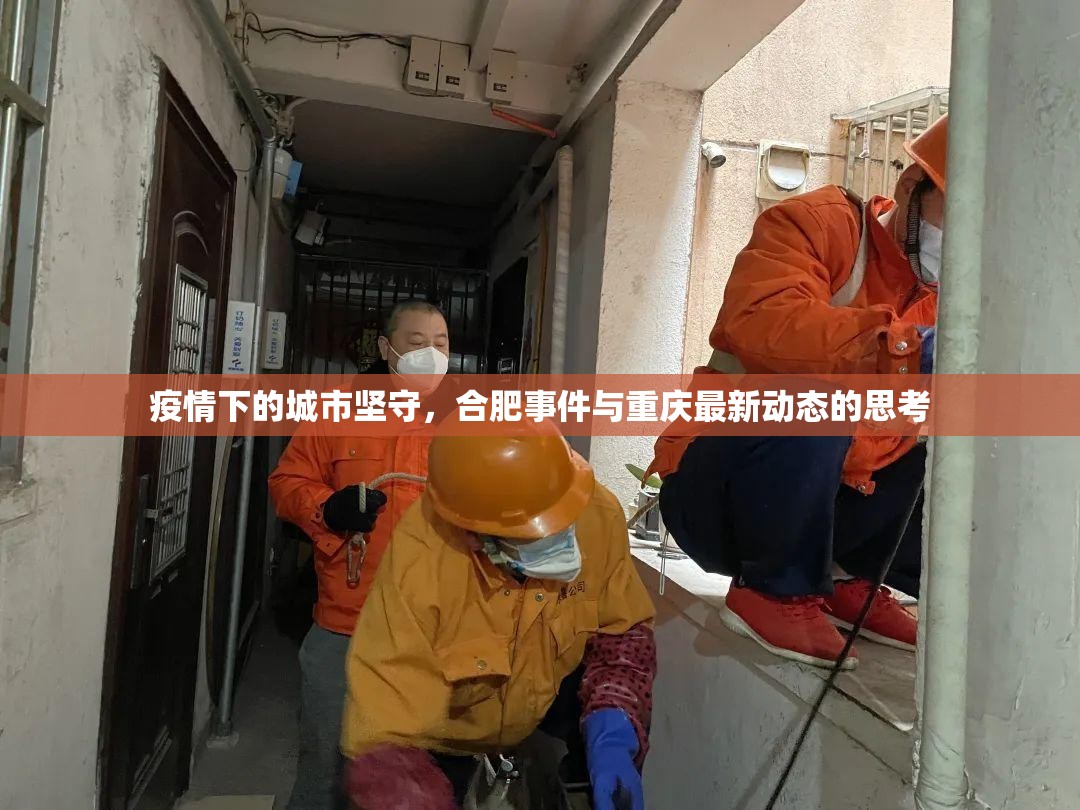 疫情下的城市坚守，合肥事件与重庆最新动态的思考