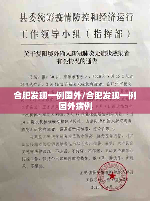 合肥发现一例国外/合肥发现一例国外病例