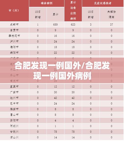合肥发现一例国外/合肥发现一例国外病例