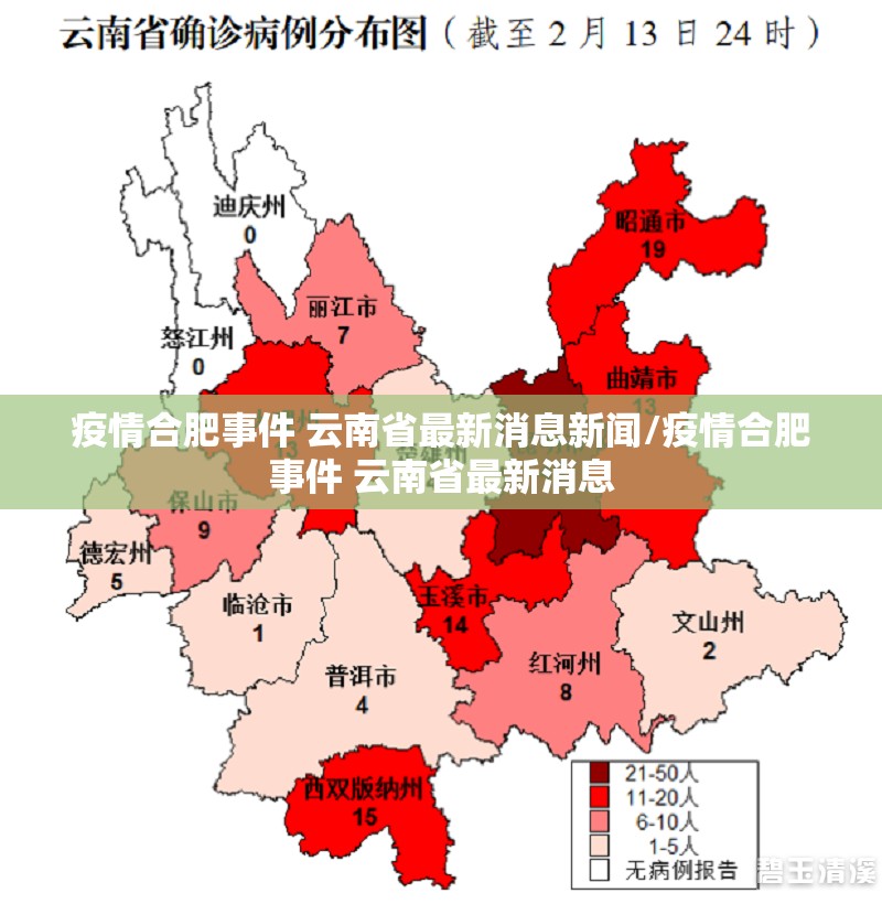 疫情合肥事件 云南省最新消息新闻/疫情合肥事件 云南省最新消息