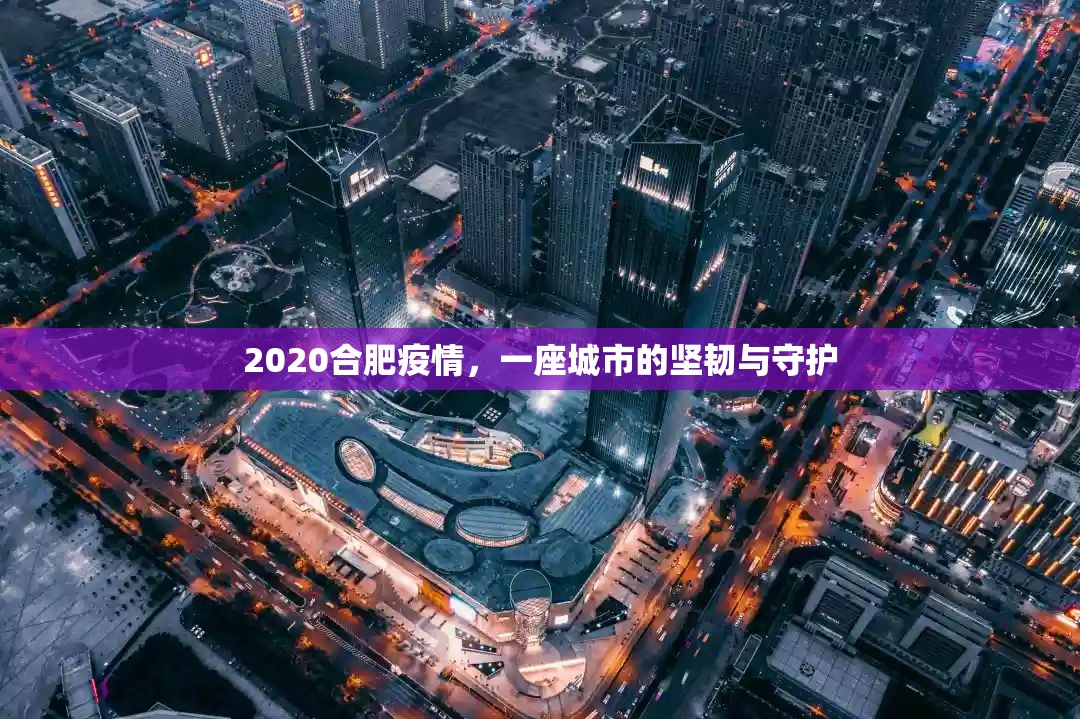 2020合肥疫情，一座城市的坚韧与守护