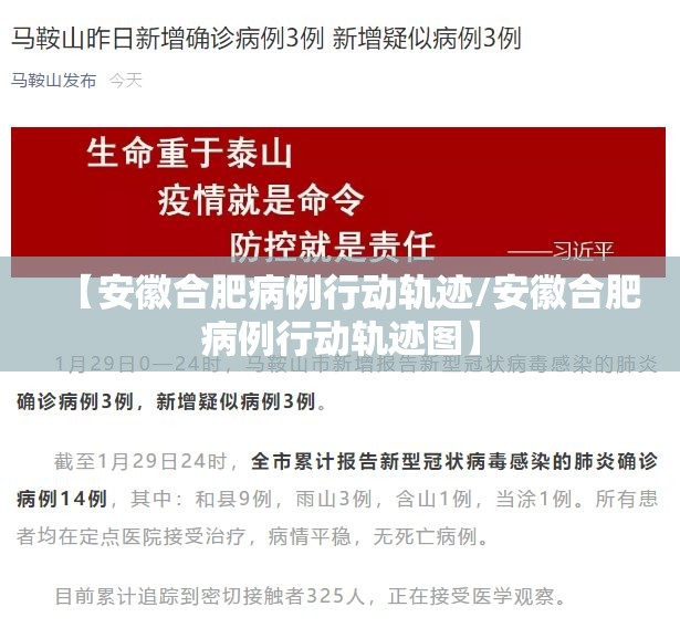 【安徽合肥病例行动轨迹/安徽合肥病例行动轨迹图】
