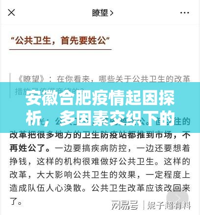 安徽合肥疫情起因探析，多因素交织下的公共卫生挑战