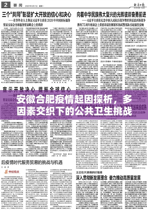 安徽合肥疫情起因探析，多因素交织下的公共卫生挑战