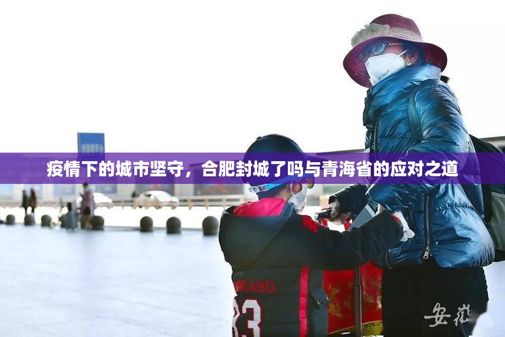 疫情下的城市坚守，合肥封城了吗与青海省的应对之道