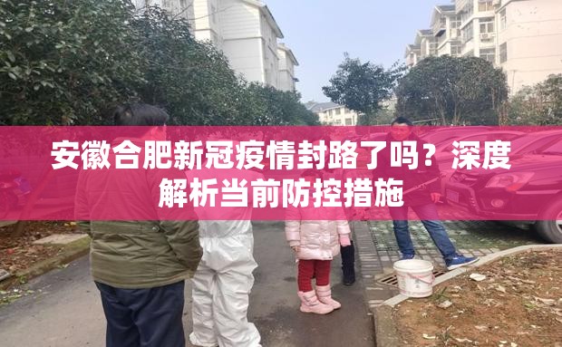 安徽合肥新冠疫情封路了吗？深度解析当前防控措施