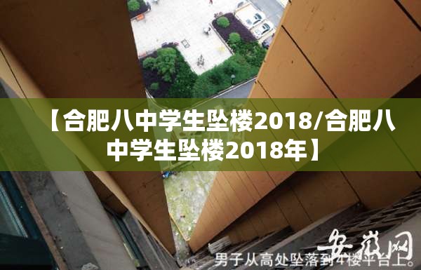 【合肥八中学生坠楼2018/合肥八中学生坠楼2018年】