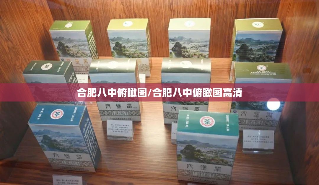 合肥八中俯瞰图/合肥八中俯瞰图高清