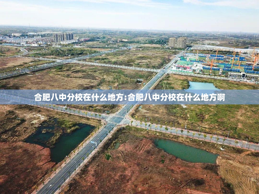 合肥八中分校在什么地方:合肥八中分校在什么地方啊