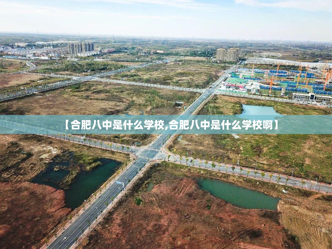 【合肥八中是什么学校,合肥八中是什么学校啊】