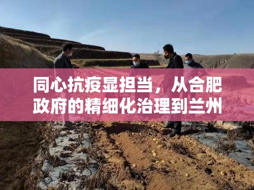 同心抗疫显担当，从合肥政府的精细化治理到兰州的坚韧应对