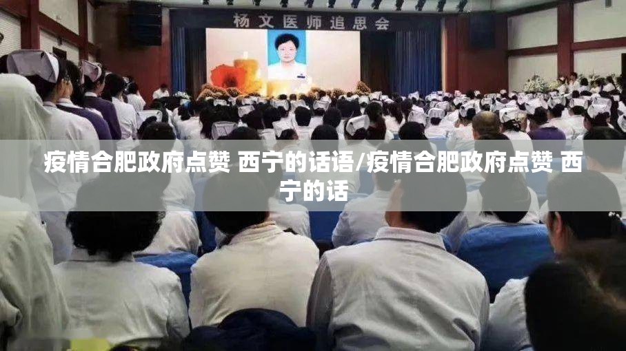 疫情合肥政府点赞 西宁的话语/疫情合肥政府点赞 西宁的话