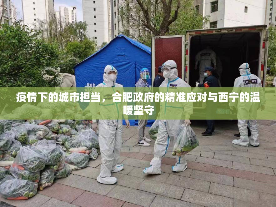 疫情下的城市担当，合肥政府的精准应对与西宁的温暖坚守