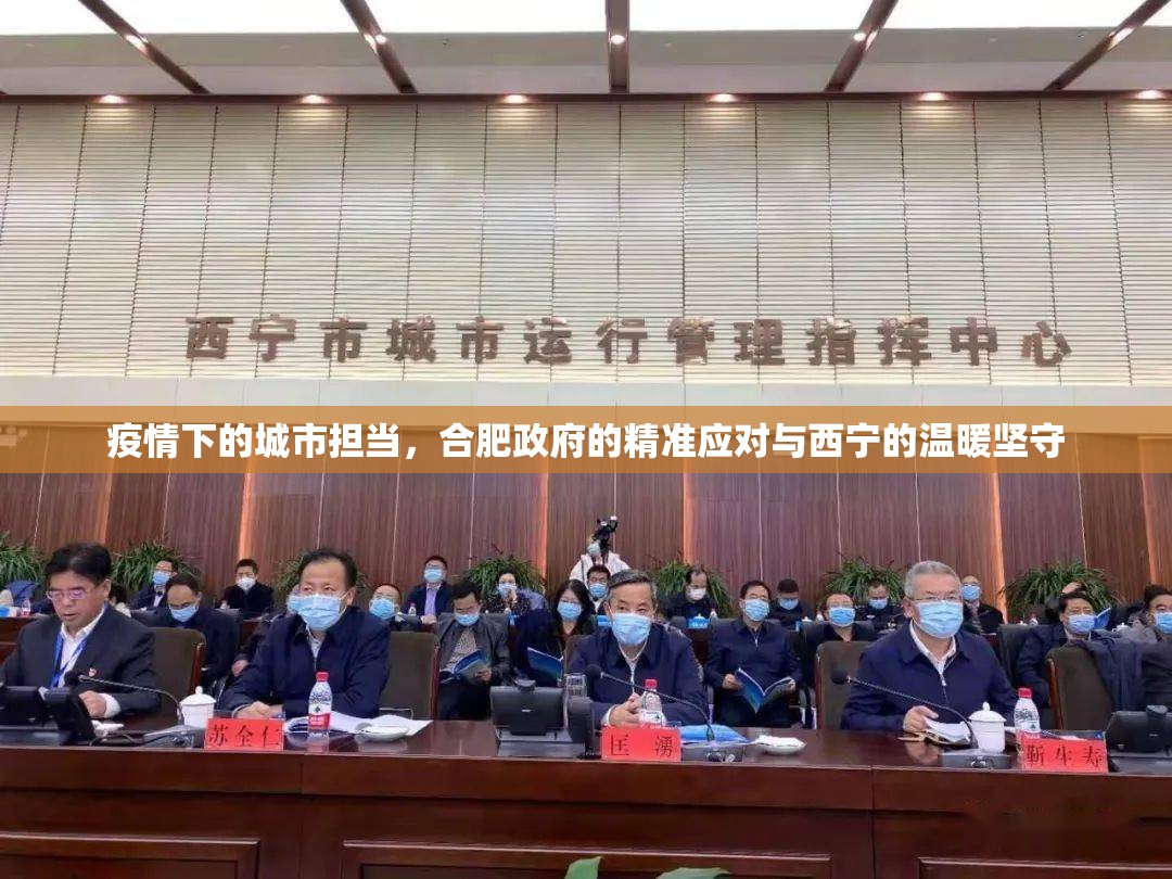 疫情下的城市担当，合肥政府的精准应对与西宁的温暖坚守