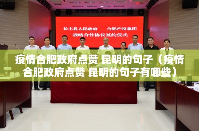 疫情合肥政府点赞 昆明的句子（疫情合肥政府点赞 昆明的句子有哪些）