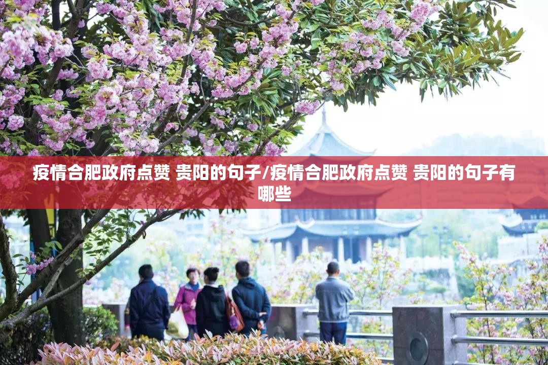 疫情合肥政府点赞 贵阳的句子/疫情合肥政府点赞 贵阳的句子有哪些