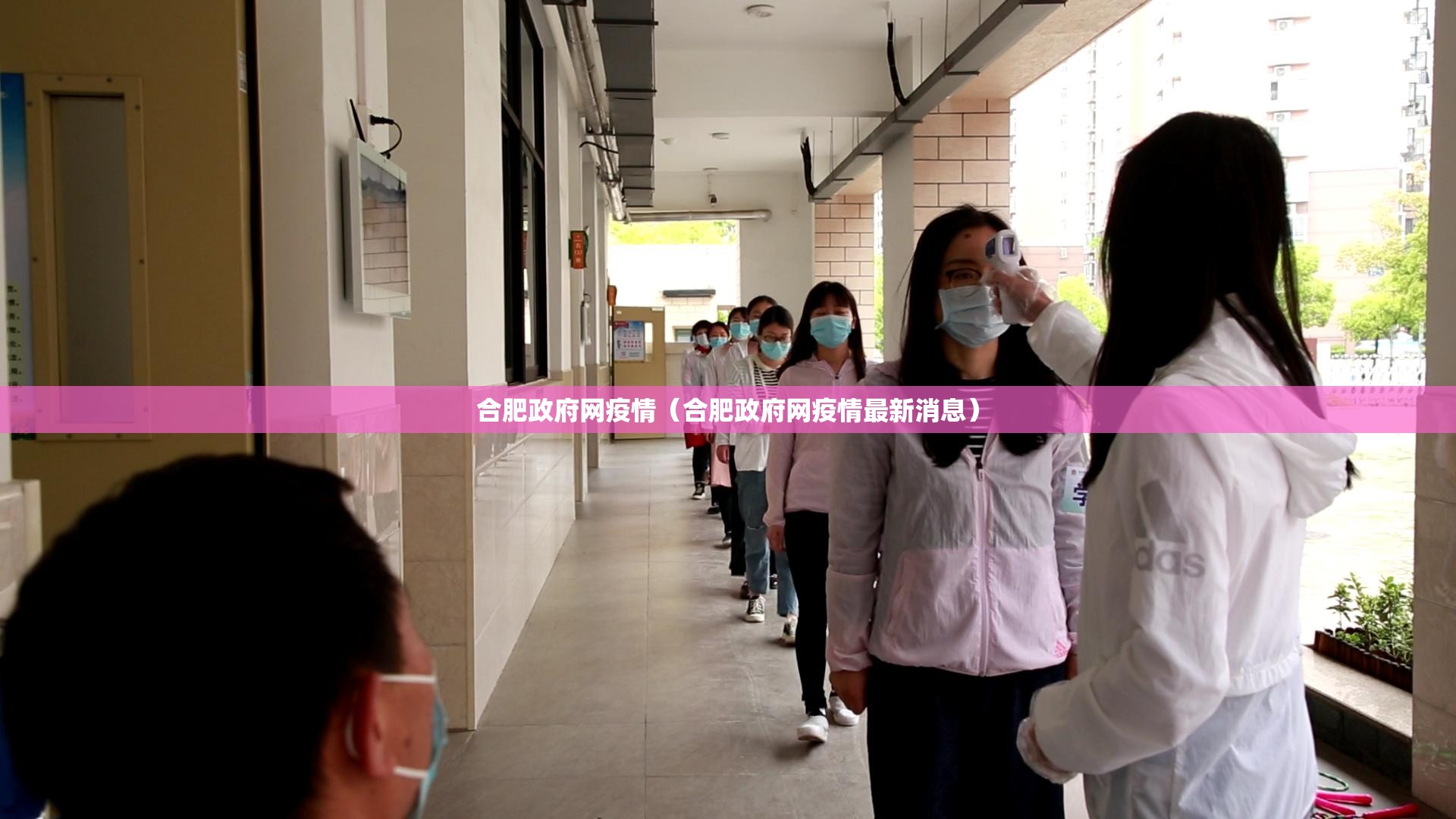 合肥政府网疫情（合肥政府网疫情最新消息）