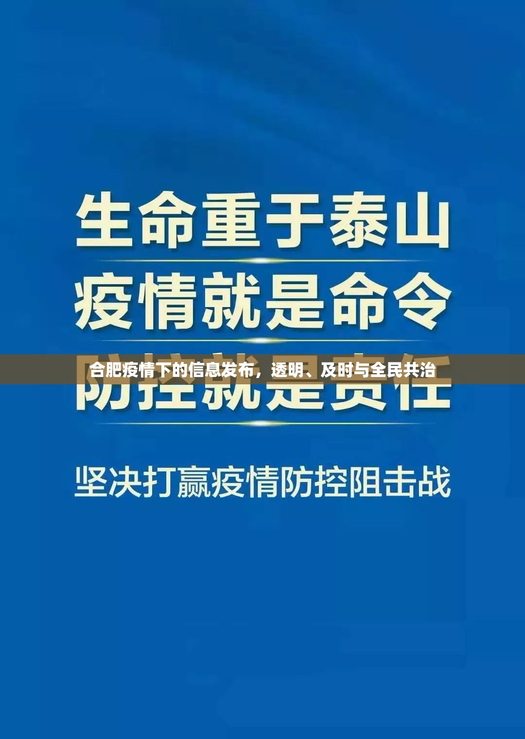 合肥疫情下的信息发布，透明、及时与全民共治